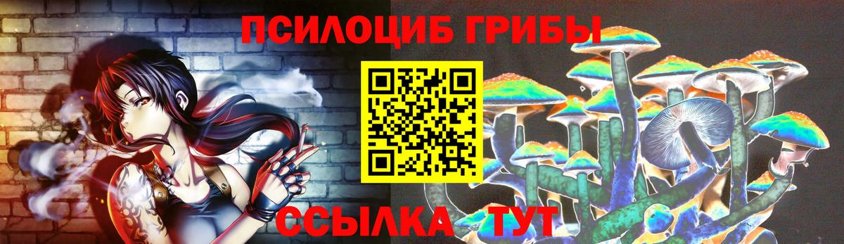 Псилоцибиновые грибы мицелий Гусиноозёрск